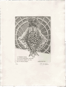 illustration livre